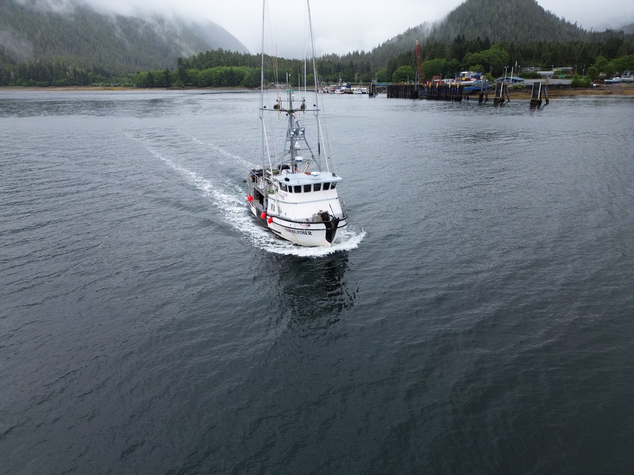 Salmon Season Week 5