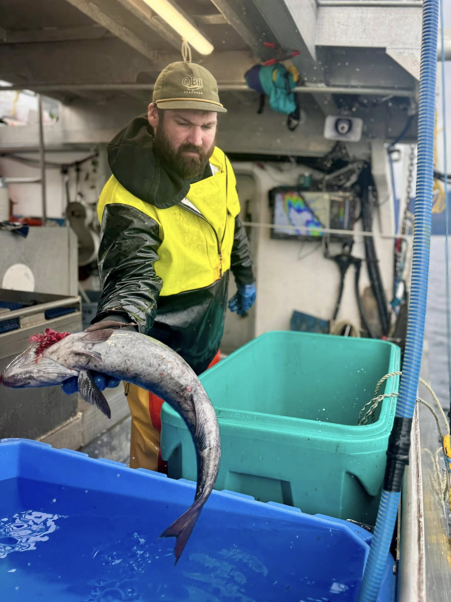 Updates From The Sablefish Grounds