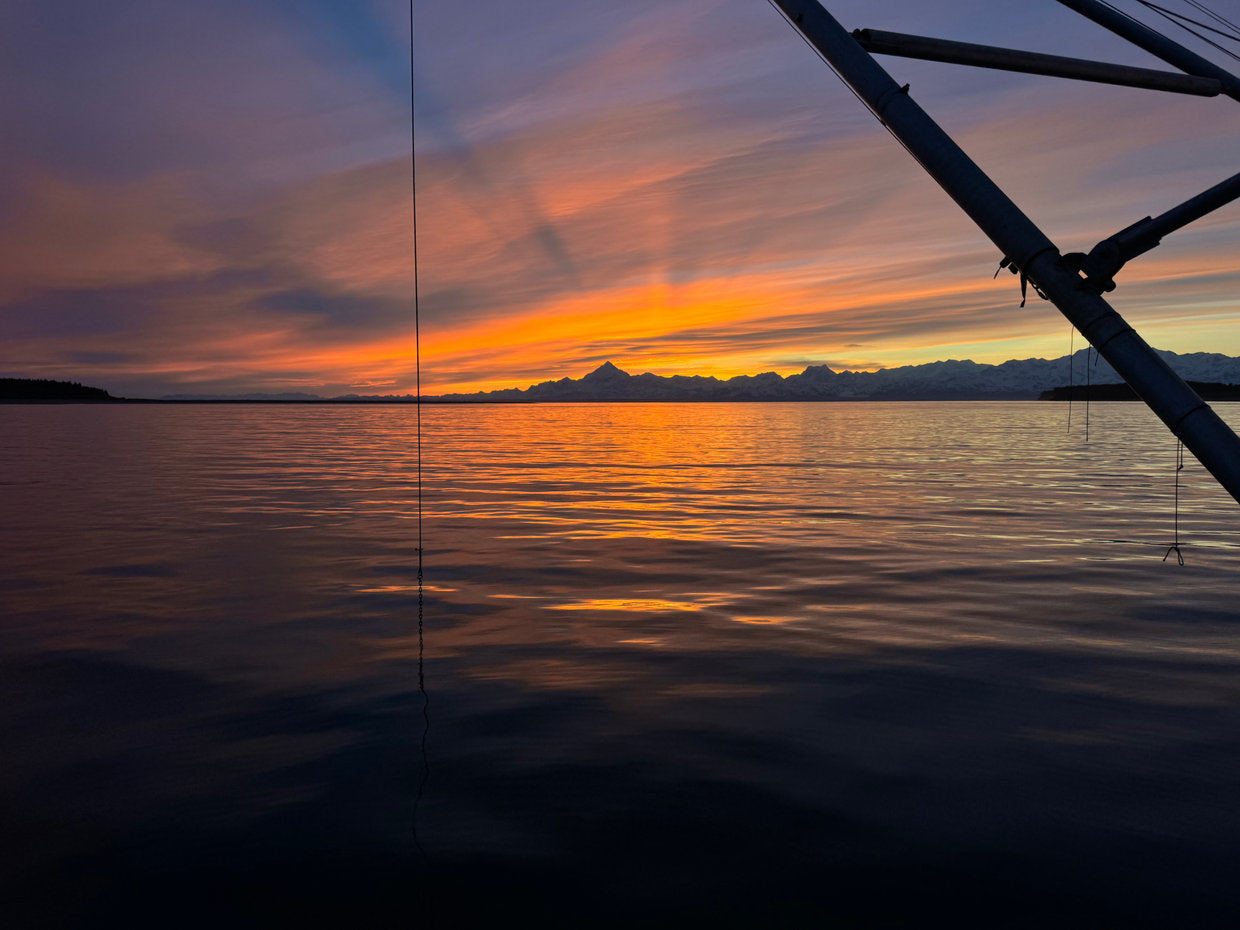 June From the Fishing Grounds