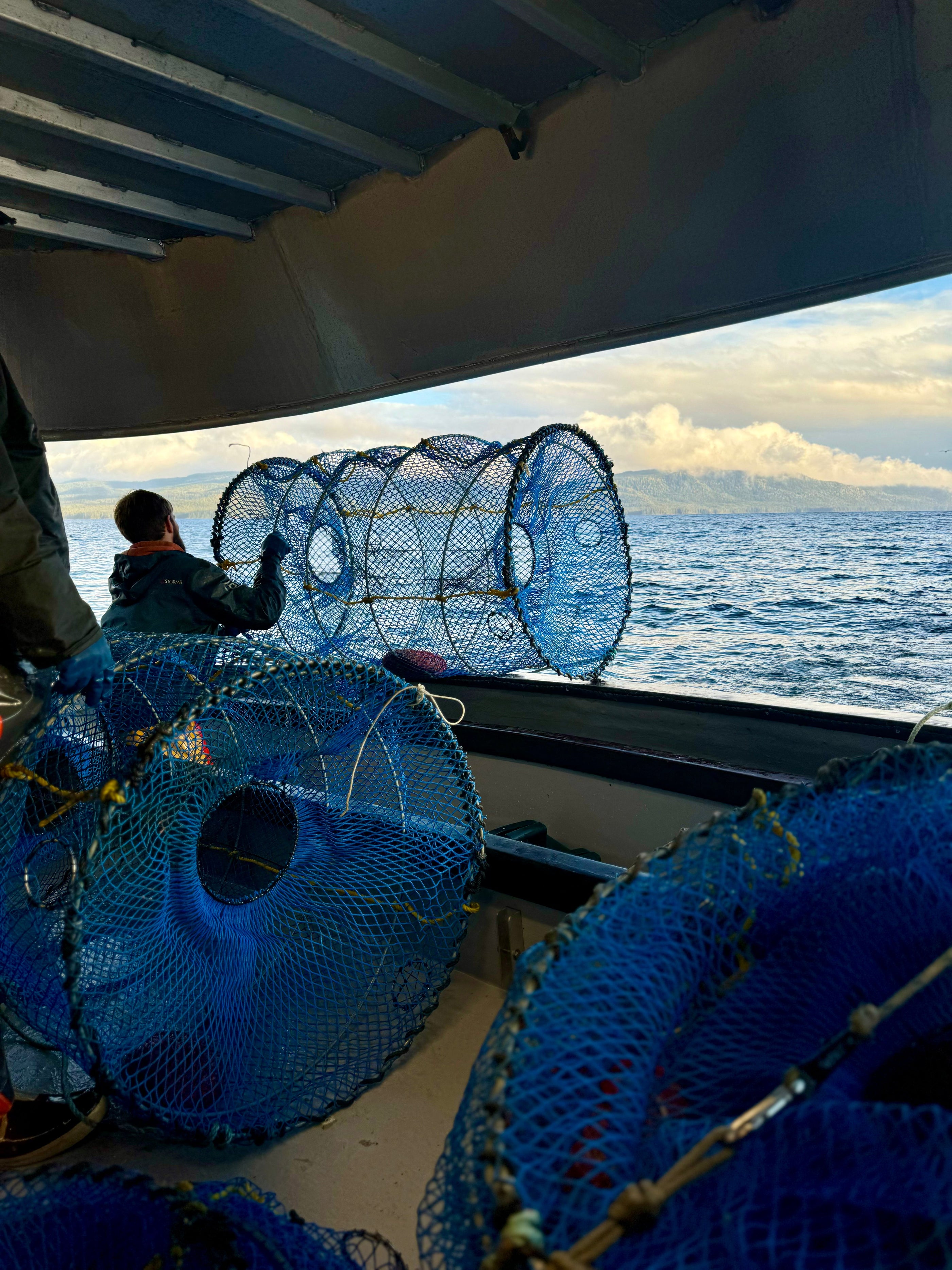 October, November, + December 2025 Wrap Up