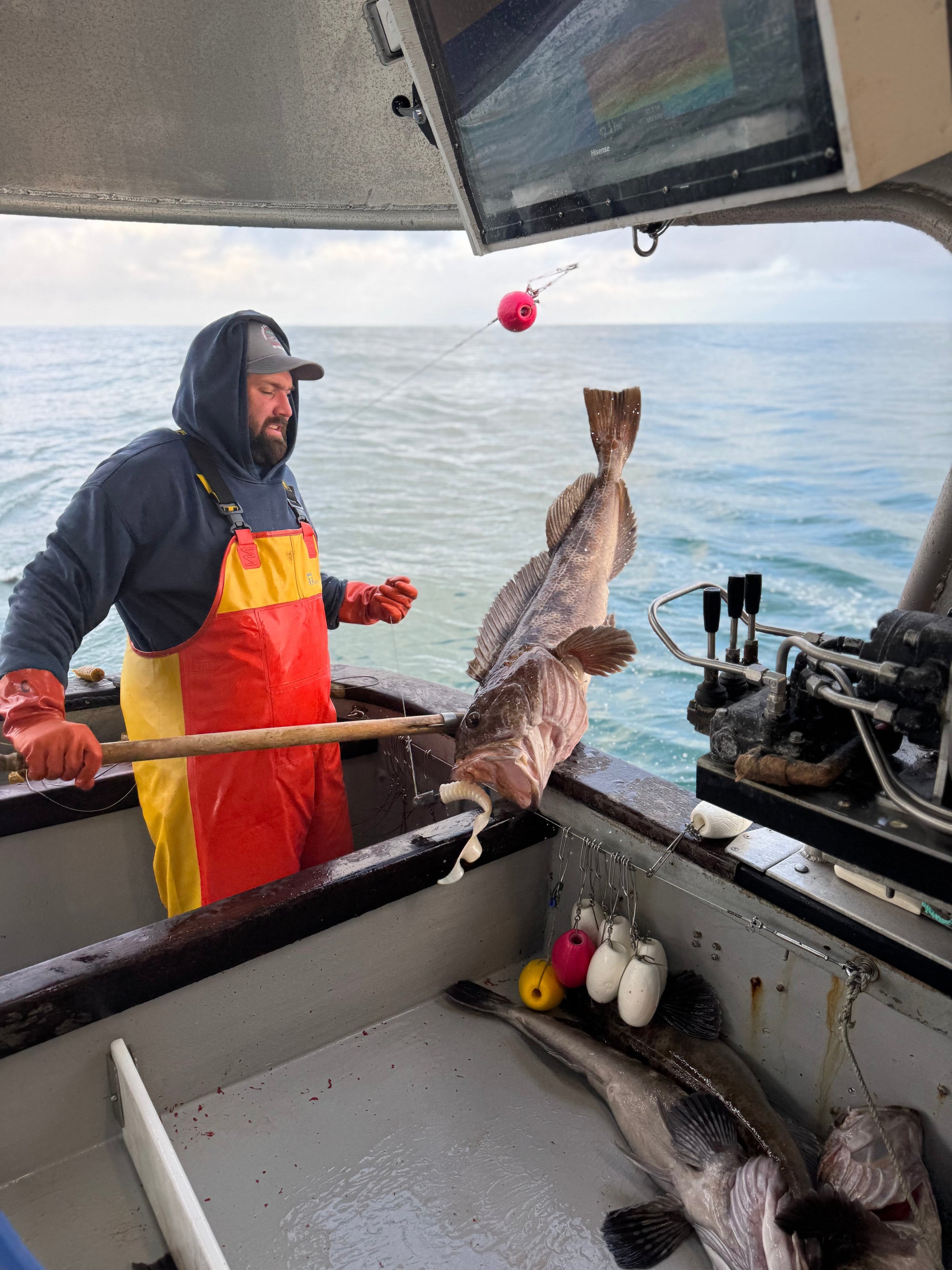 Out At The Lingcod Grounds