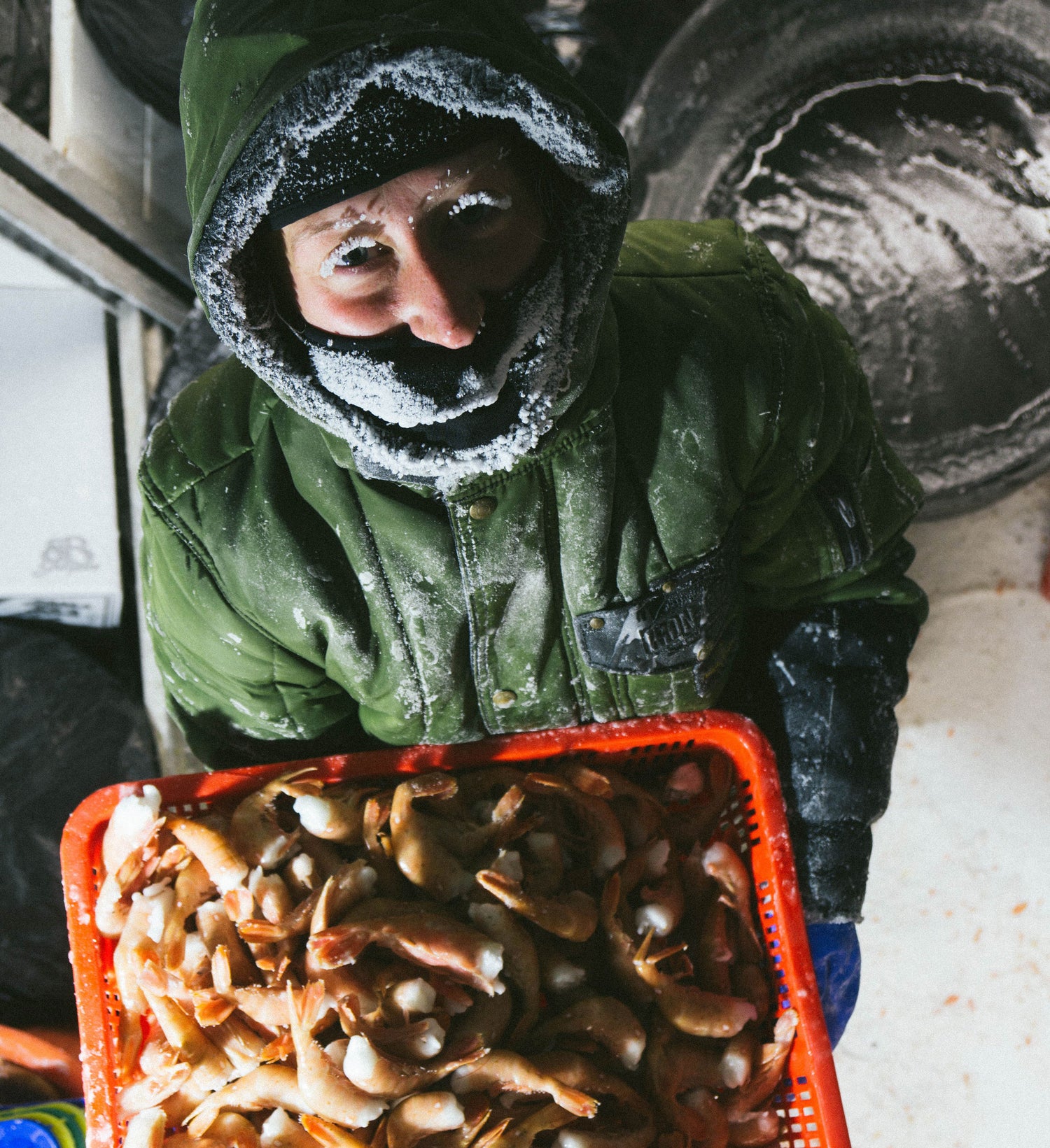Jessica holding prawn in green jacket, very icy and cold